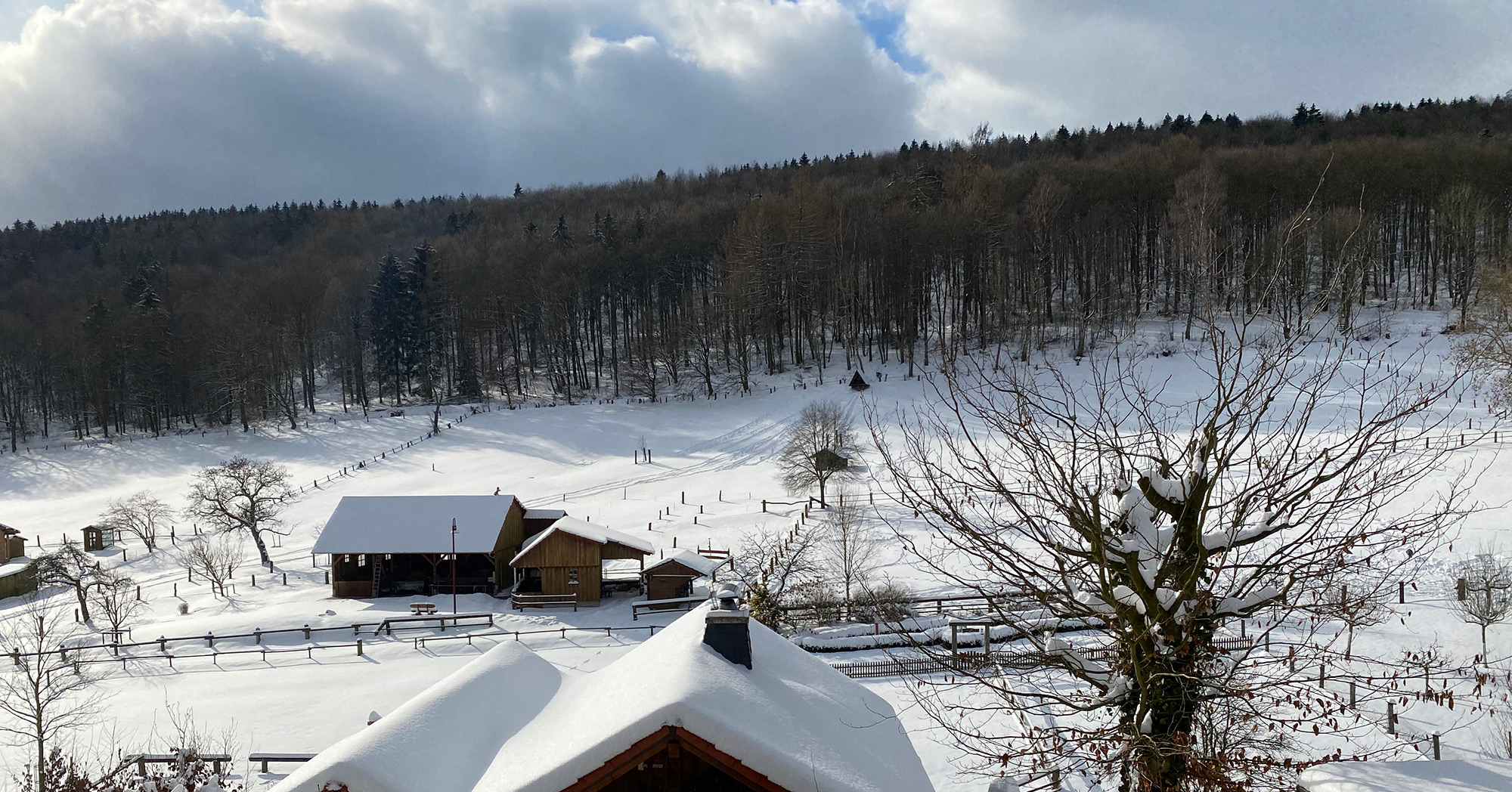 Buren-Hof-bodenfelde-blick-auf-die-Weide